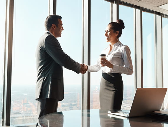 Corporate Executives